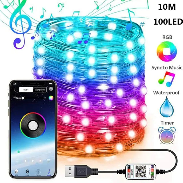 Bluetooth LED String Lights